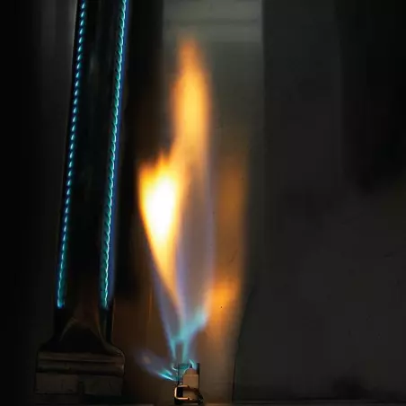 Barbecue Gaz Rogue 365 R 2 Brûleurs - NAPOLEON 7 Barbecue Gaz Rogue 365 R 2 Brûleurs - NAPOLEON – Image 5