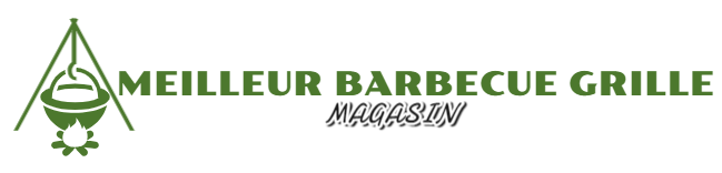 Meilleur Barbecue Grille Magasin